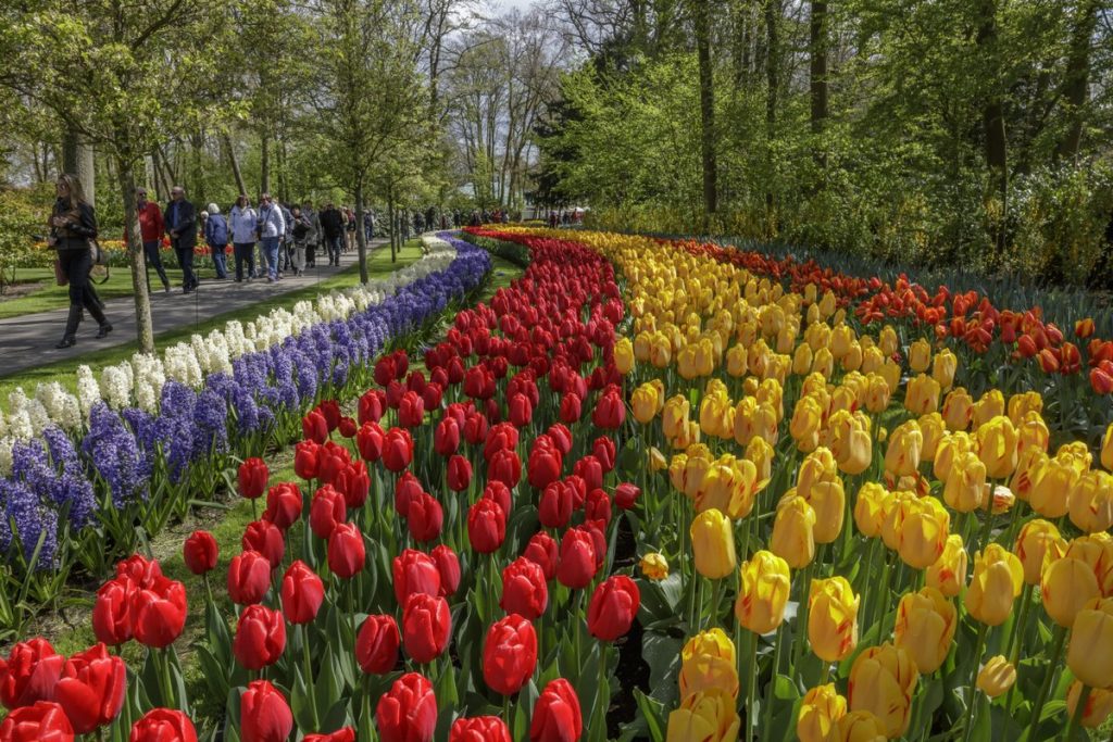 Keukenhof tickets 2022